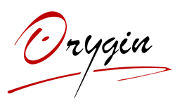 logo orygin-conseil